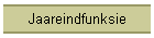 Jaareindfunksie
